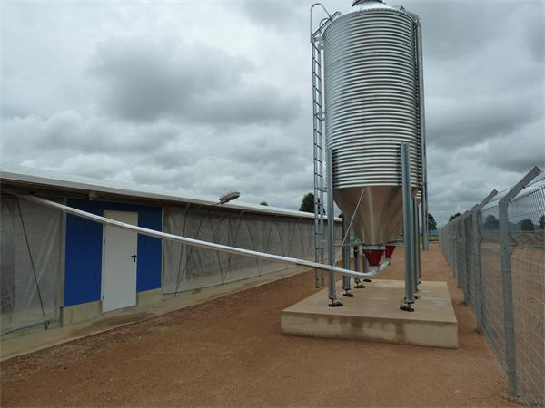 boiler farm feeding equipment